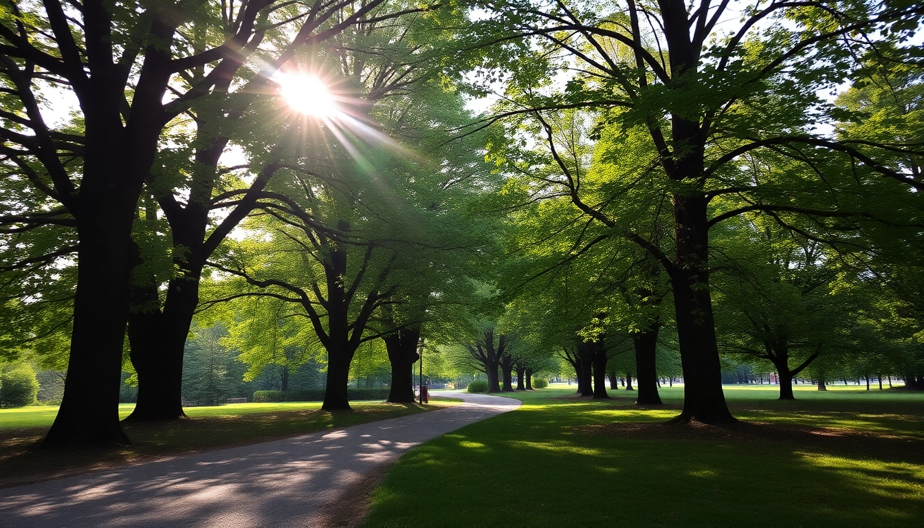 healthlifeherald.com showcases a tranquil landscape path surrounded by lush greenery and sunlight.